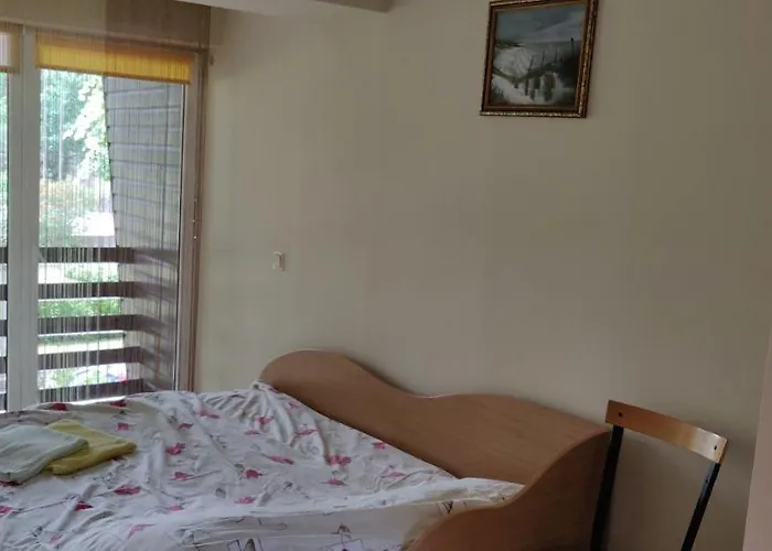 Livingpalanga Kotedzas 帕兰加